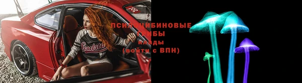 ПСИЛОЦИБИНОВЫЕ ГРИБЫ Беломорск