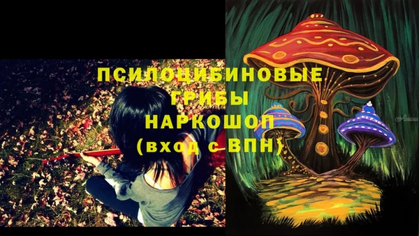 кокаин Белокуриха